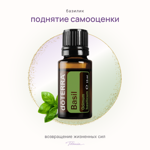 Базилик 1 Базилик 1