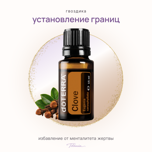Гвоздика 1 Гвоздика 1