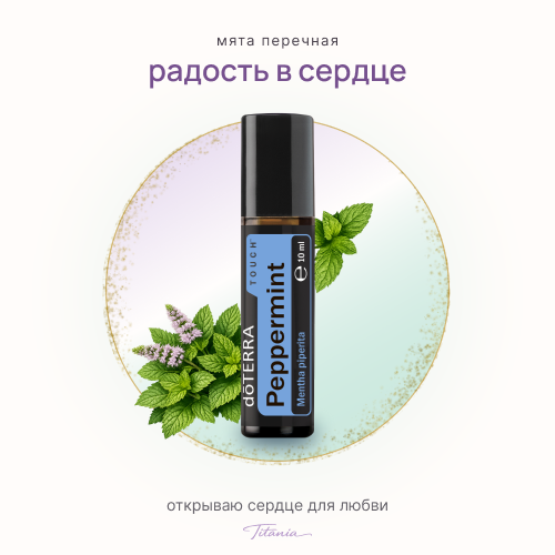 Мята перечная, роллер 1 Мята перечная, роллер 1