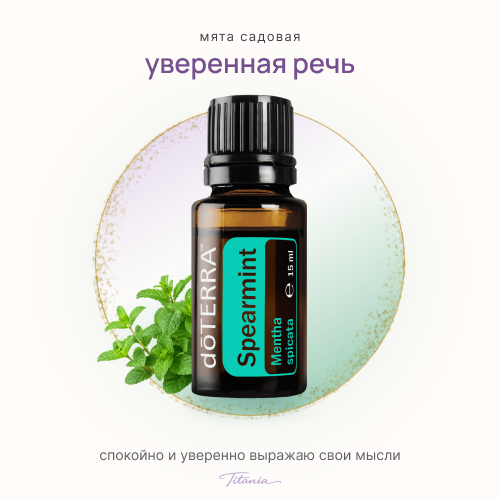 Садовая мята 1 Садовая мята 1