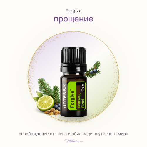 Прощение 1 Прощение 1